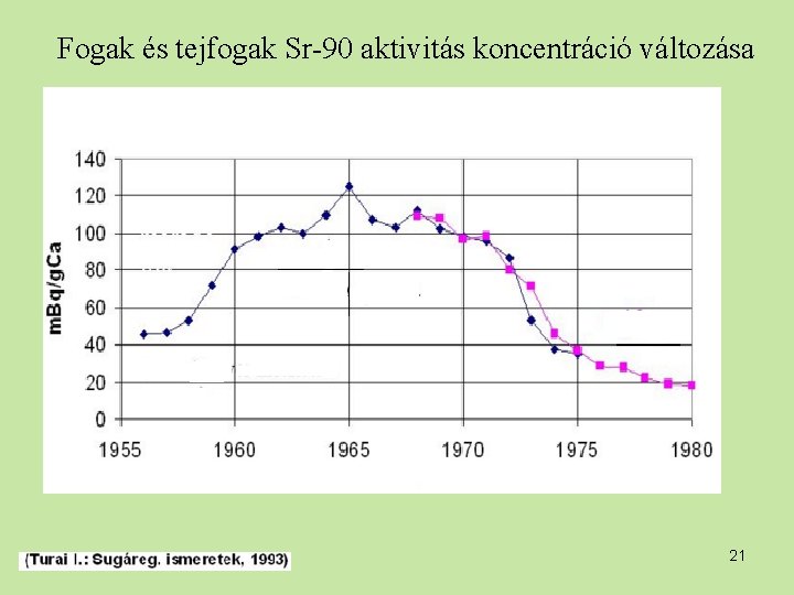 Fogak és tejfogak Sr-90 aktivitás koncentráció változása 21 