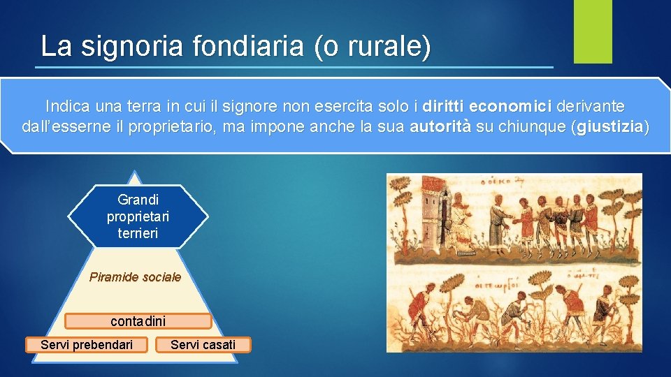La signoria fondiaria (o rurale) Indica una terra in cui il signore non esercita La signoria fondiaria (o rurale) Indica una terra in cui il signore non esercita