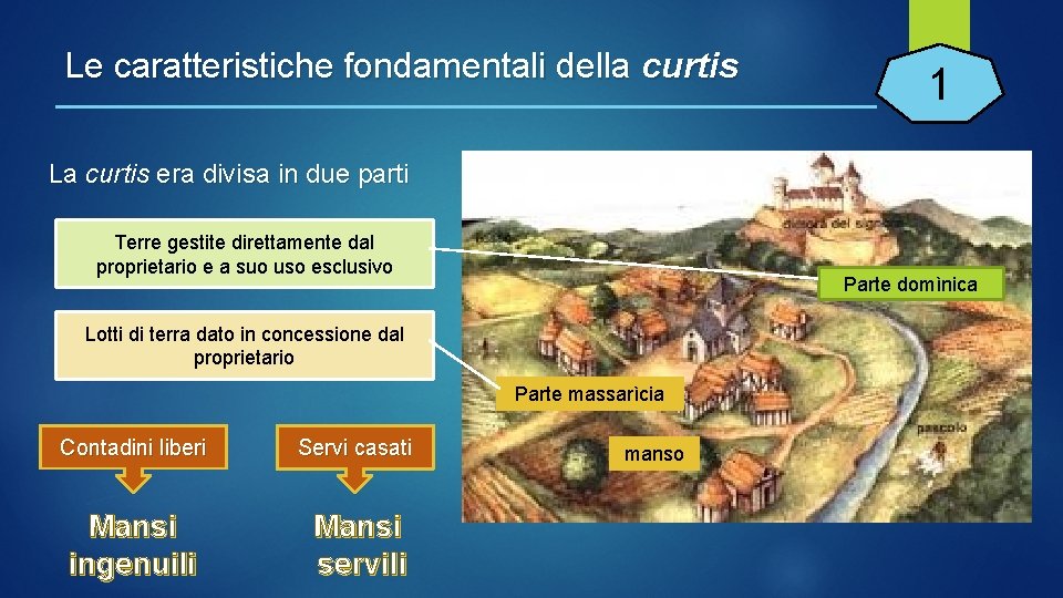 Le caratteristiche fondamentali della curtis 1 La curtis era divisa in due parti Terre Le caratteristiche fondamentali della curtis 1 La curtis era divisa in due parti Terre