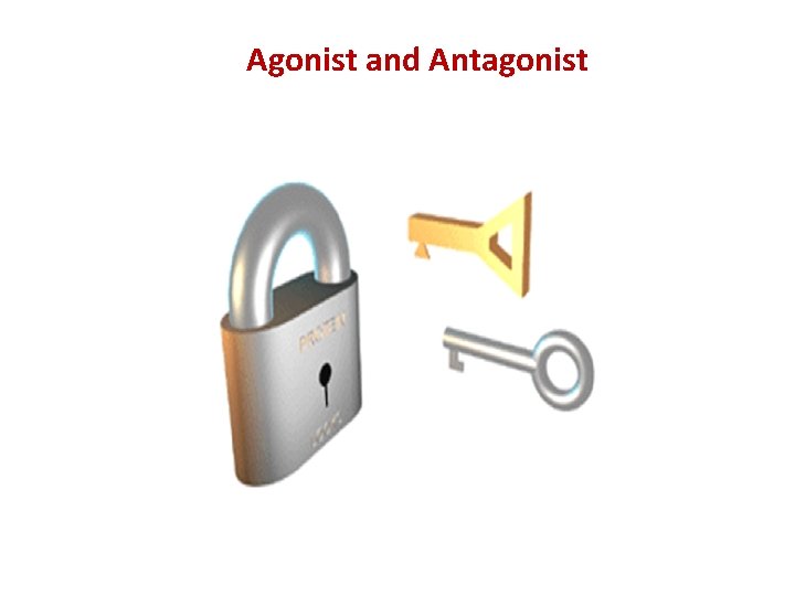 Agonist and Antagonist 