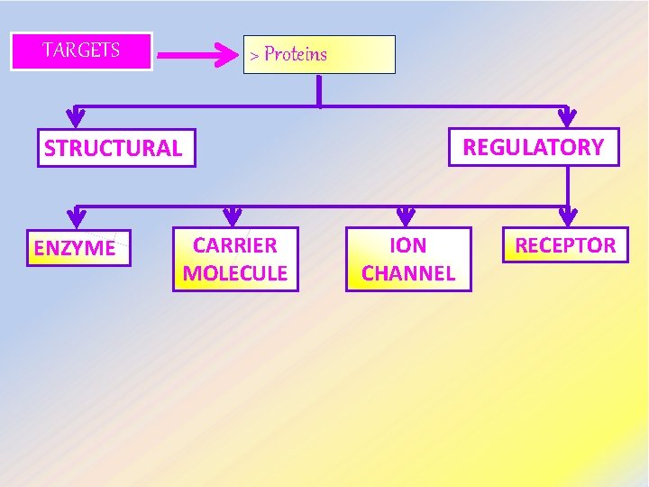 TARGETS > Proteins REGULATORY STRUCTURAL ENZYME CARRIER MOLECULE ION CHANNEL RECEPTOR 