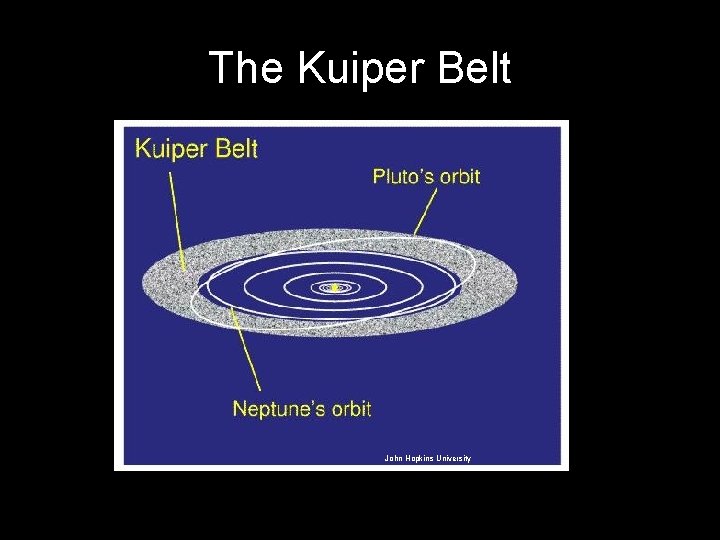 The Kuiper Belt John Hopkins University 