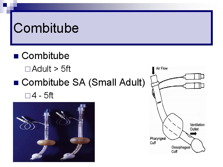 Combitube n Combitube ¨ Adult n > 5 ft Combitube SA (Small Adult) ¨