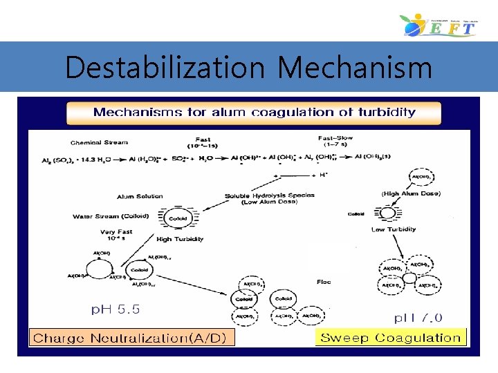 Destabilization Mechanism 