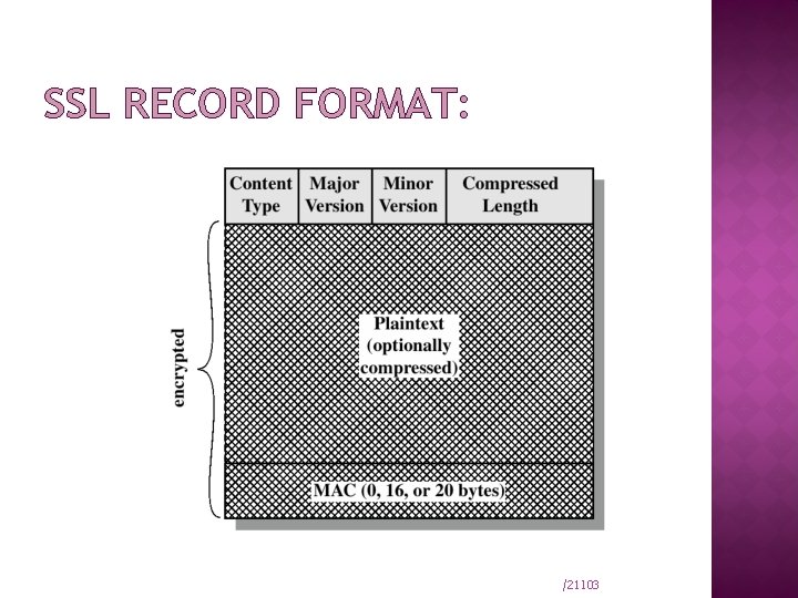 SSL RECORD FORMAT: /21103 