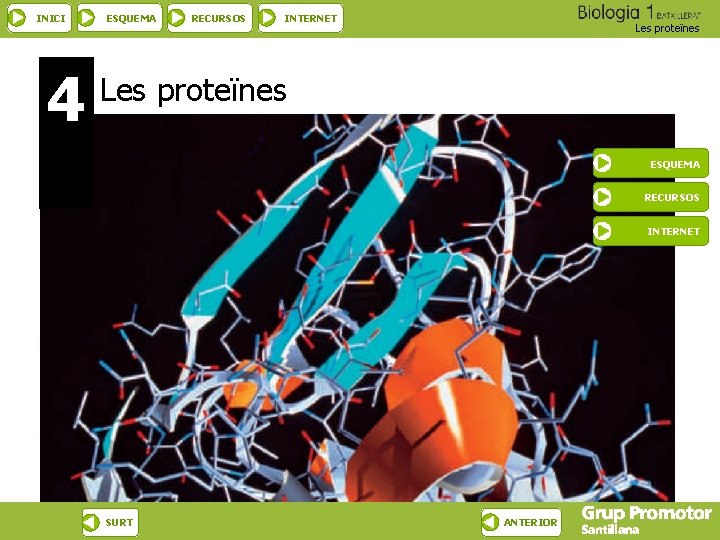 INICI 4 ESQUEMA RECURSOS INTERNET Les proteïnes ESQUEMA RECURSOS INTERNET SURT ANTERIOR 