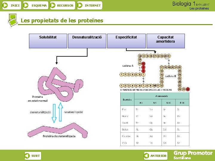 INICI ESQUEMA RECURSOS INTERNET Les proteïnes Les propietats de les proteïnes Solubilitat SURT Desnaturalització
