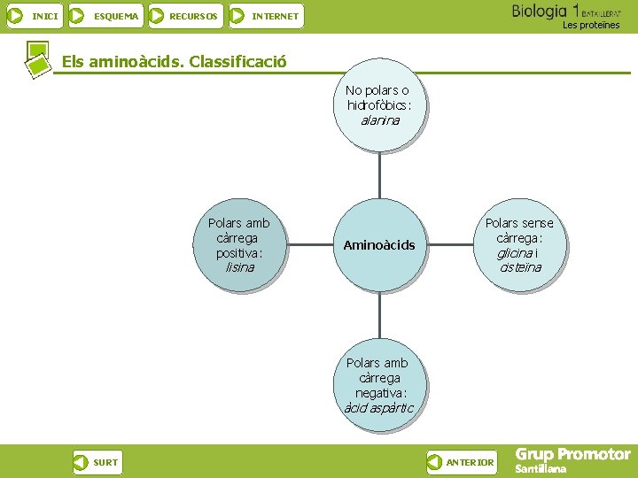 INICI ESQUEMA RECURSOS INTERNET Les proteïnes Els aminoàcids. Classificació No polars o hidrofòbics: alanina