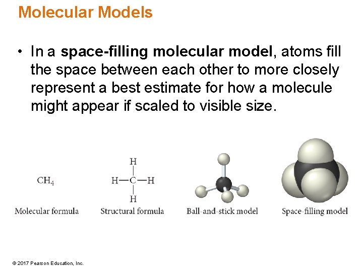 Molecular Models • In a space-filling molecular model, atoms fill the space between each
