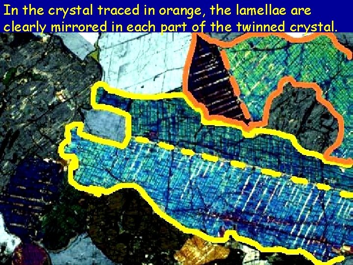 In the crystal traced in orange, the lamellae are clearly mirrored in each part In the crystal traced in orange, the lamellae are clearly mirrored in each part