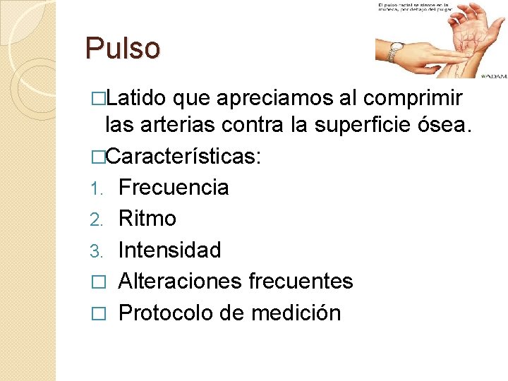 Pulso �Latido que apreciamos al comprimir las arterias contra la superficie ósea. �Características: 1.