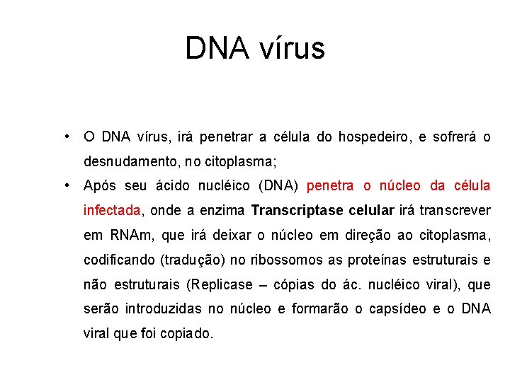 DNA vírus • O DNA vírus, irá penetrar a célula do hospedeiro, e sofrerá