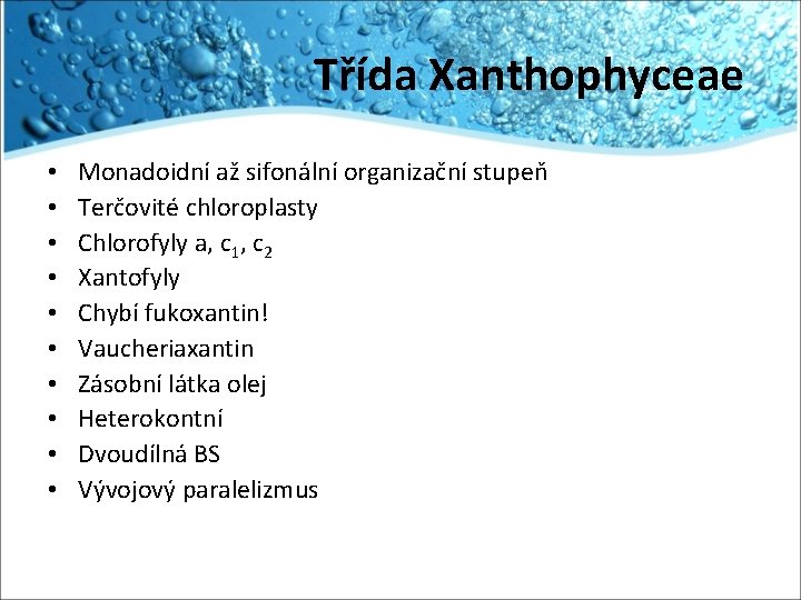 Třída Xanthophyceae • • • Monadoidní až sifonální organizační stupeň Terčovité chloroplasty Chlorofyly a,