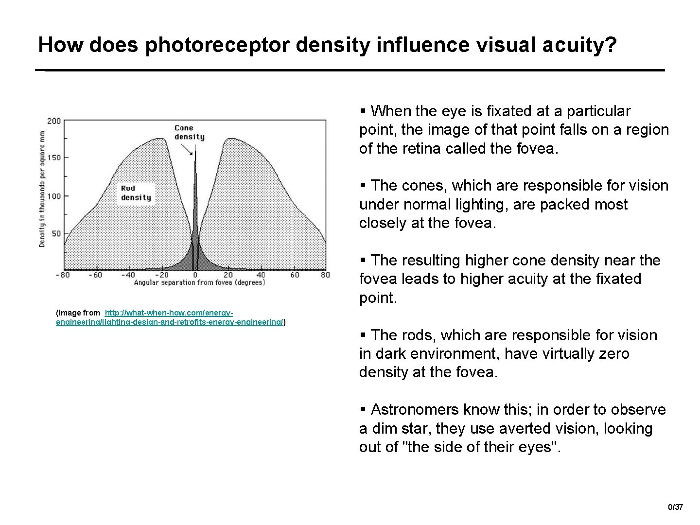 How does photoreceptor density influence visual acuity? § When the eye is fixated at