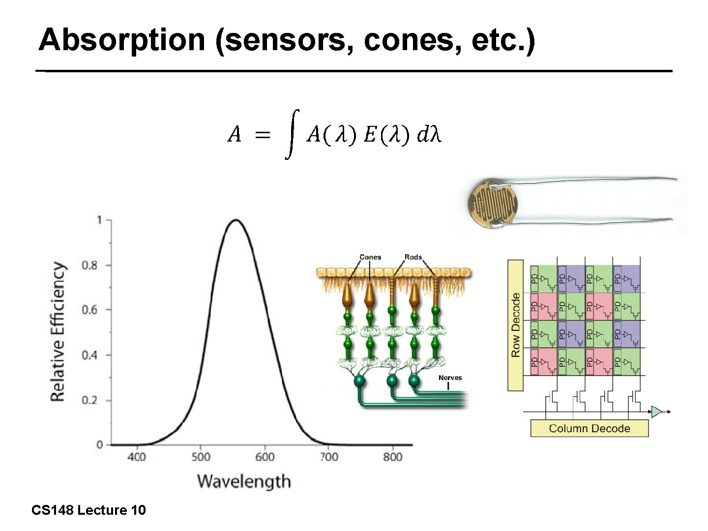 Absorption (sensors, cones, etc. ) 8/42 CS 148 Lecture 10 