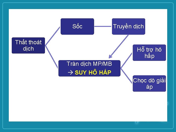 Sốc Thất thoát dịch Truyền dịch Hỗ trợ hô hấp Tràn dịch MP/MB SUY