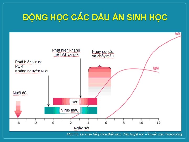 ĐỘNG HỌC CÁC DẤU ẤN SINH HỌC PGS. TS. Lê Xuân Hải (Khoa Miễn