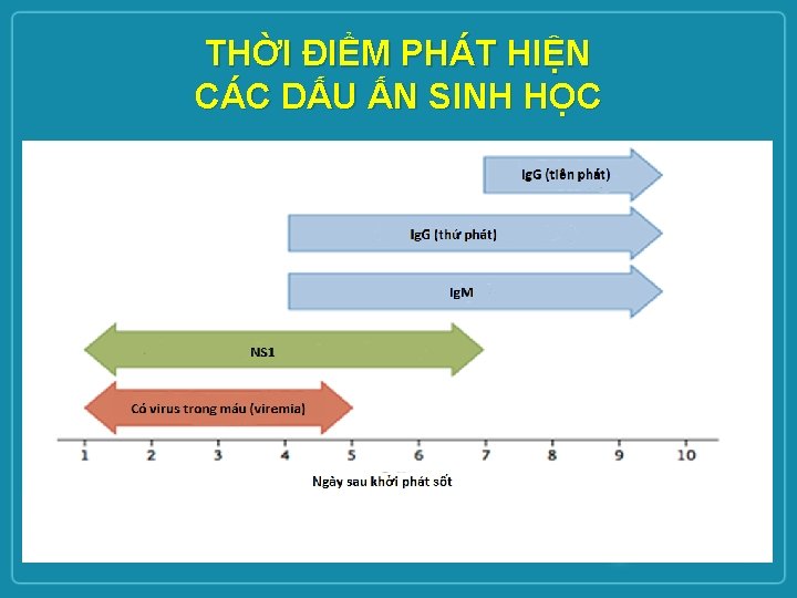 THỜI ĐIỂM PHÁT HIỆN CÁC DẤU ẤN SINH HỌC 