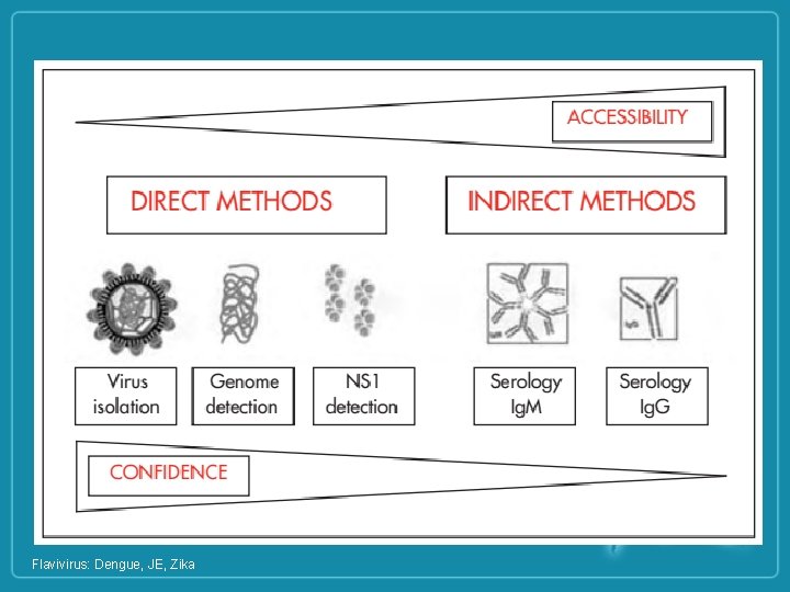 Flavivirus: Dengue, JE, Zika 