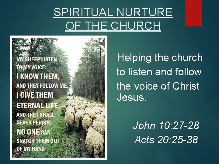 SPIRITUAL NURTURE OF THE CHURCH Helping the church to listen and follow the voice