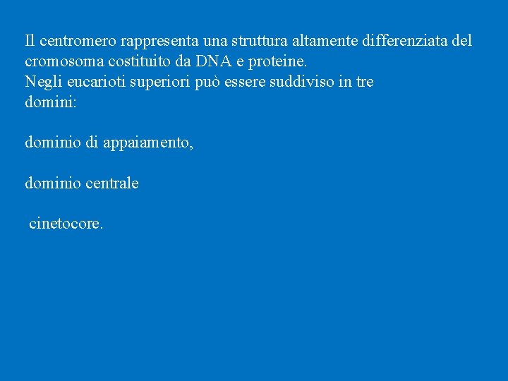 Il centromero rappresenta una struttura altamente differenziata del cromosoma costituito da DNA e proteine.