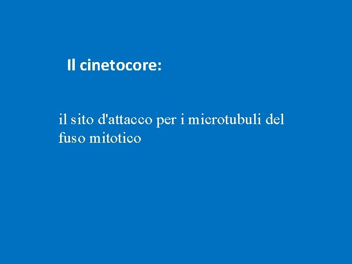 Il cinetocore: il sito d'attacco per i microtubuli del fuso mitotico 