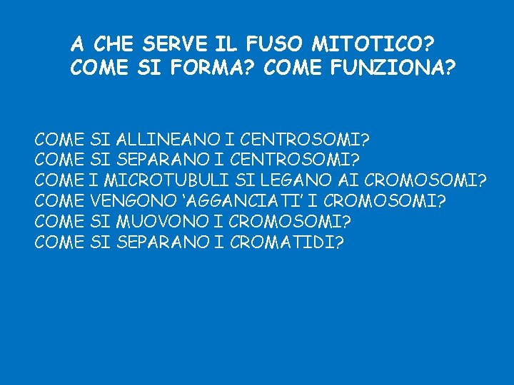 A CHE SERVE IL FUSO MITOTICO? COME SI FORMA? COME FUNZIONA? COME SI ALLINEANO