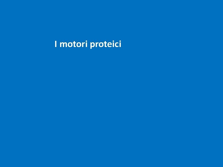 I motori proteici 