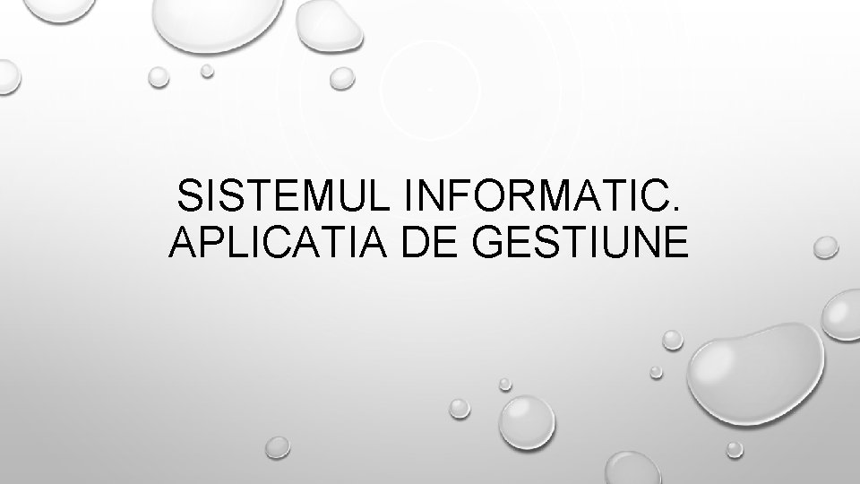 SISTEMUL INFORMATIC. APLICATIA DE GESTIUNE 