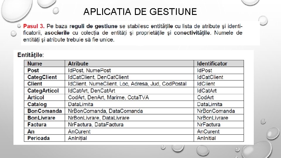 APLICATIA DE GESTIUNE 