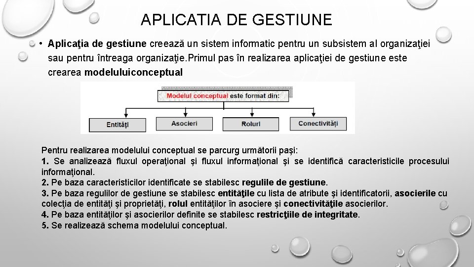 APLICATIA DE GESTIUNE • Aplicaţia de gestiune creează un sistem informatic pentru un subsistem