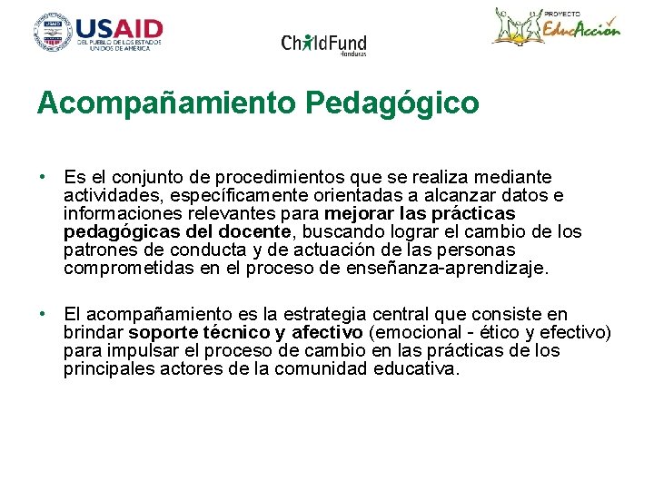 Acompañamiento Pedagógico • Es el conjunto de procedimientos que se realiza mediante actividades, específicamente