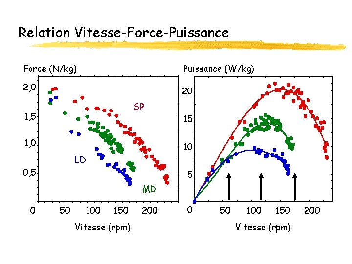 Relation Vitesse-Force-Puissance Force (N/kg) Puissance (W/kg) 2, 0 20 SP 1, 5 1, 0