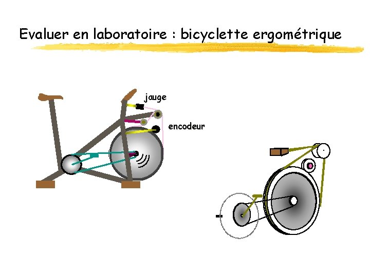 Evaluer en laboratoire : bicyclette ergométrique jauge encodeur 