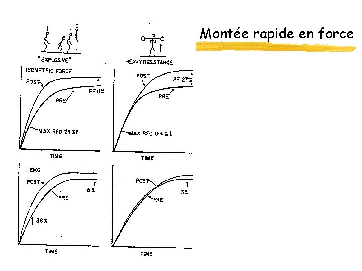 Montée rapide en force 