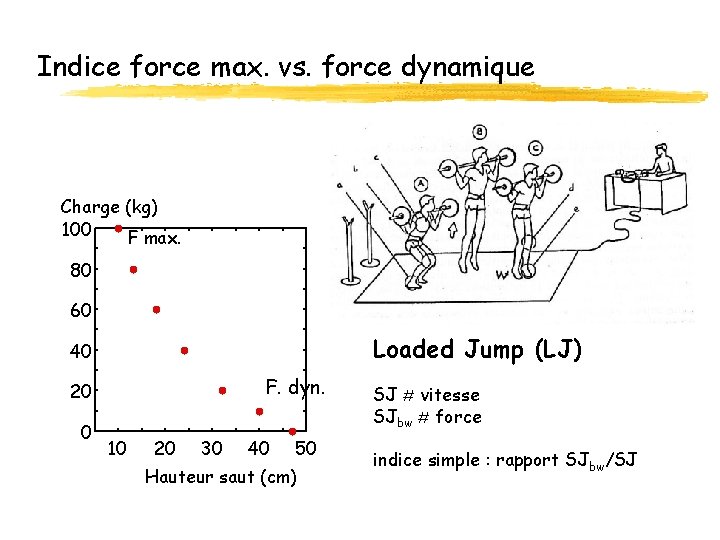 Indice force max. vs. force dynamique Charge (kg) 100 F max. 80 60 Loaded