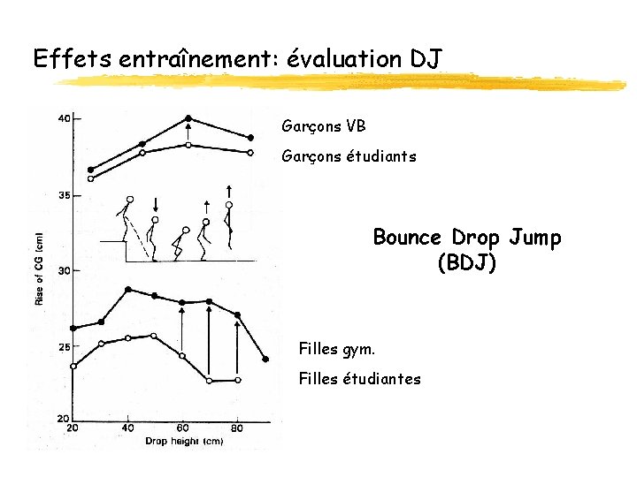Effets entraînement: évaluation DJ Garçons VB Garçons étudiants Bounce Drop Jump (BDJ) Filles gym.