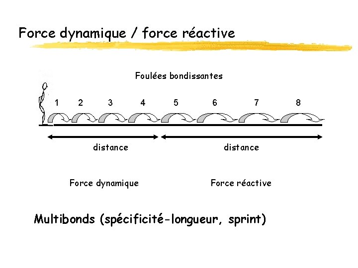 Force dynamique / force réactive Foulées bondissantes 1 2 3 distance Force dynamique 4