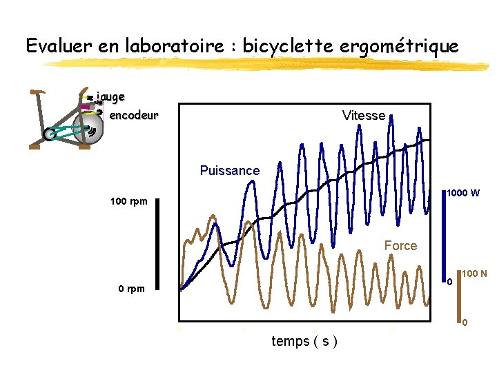 Evaluer en laboratoire : bicyclette ergométrique jauge encodeur Vitesse Puissance 1000 W 100 rpm
