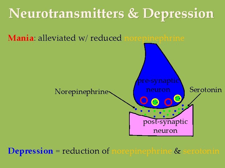 Neurotransmitters & Depression Mania: alleviated w/ reduced norepinephrine Norepinephrine pre-synaptic neuron Serotonin post-synaptic neuron