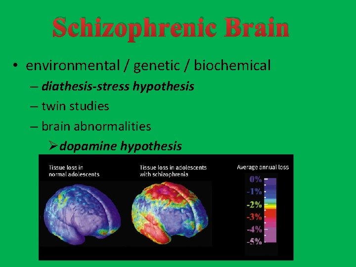 Schizophrenic Brain • environmental / genetic / biochemical – diathesis-stress hypothesis – twin studies