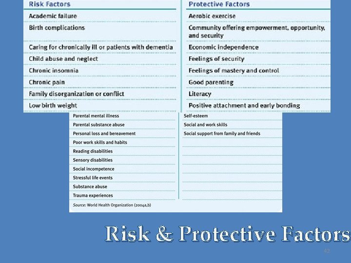 Risk & Protective Factors 42 