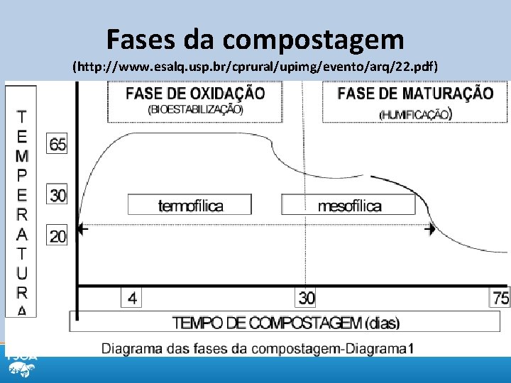 Fases da compostagem (http: //www. esalq. usp. br/cprural/upimg/evento/arq/22. pdf) 