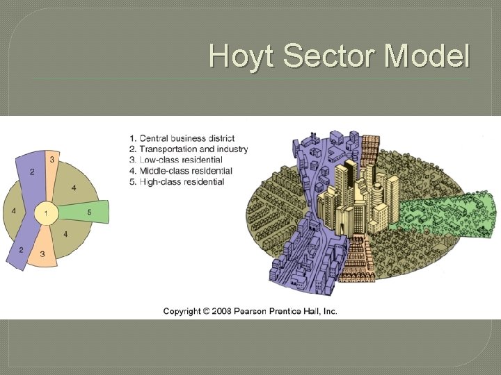 Hoyt Sector Model 