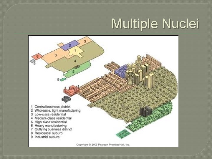 Multiple Nuclei 