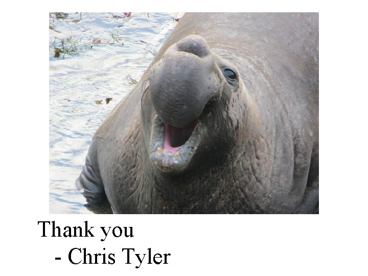 Thank you - Chris Tyler 