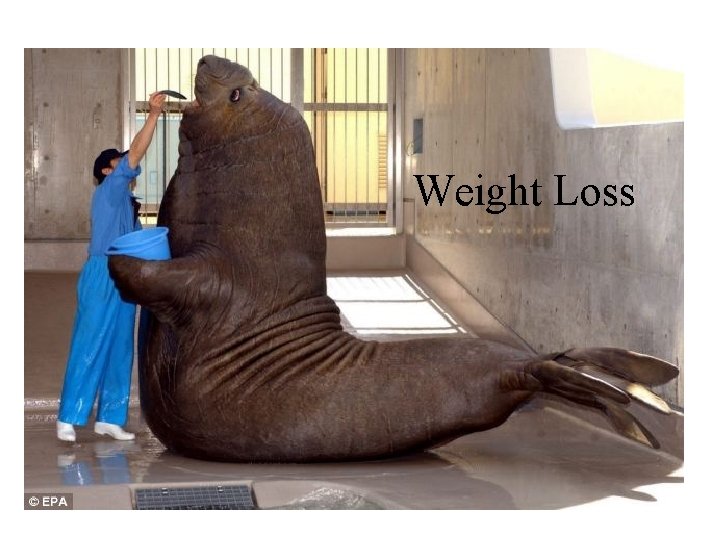 Weight Loss 