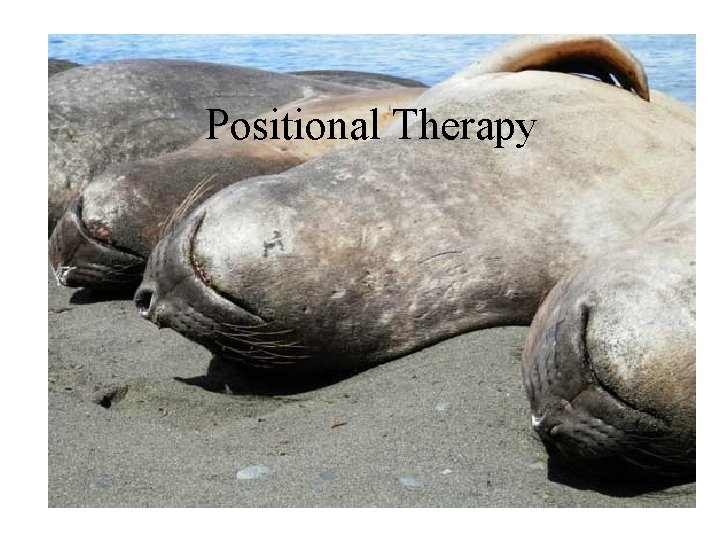 Positional Therapy 