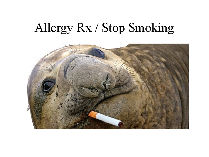 Allergy Rx / Stop Smoking 