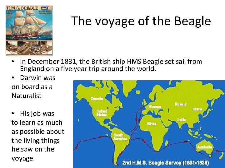 The voyage of the Beagle • In December 1831, the British ship HMS Beagle